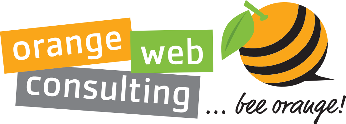 Logo der Firma orange web consulting GmbH